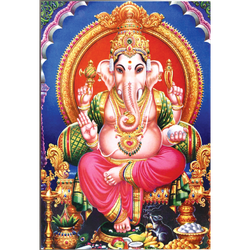 Sunshine Enterprises Logo